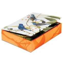 Audubon Birds Notecards