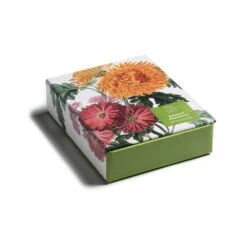 Botanical Illustrations Notecards