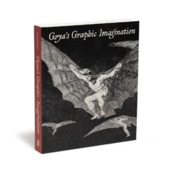 Goya's Graphic Imagination