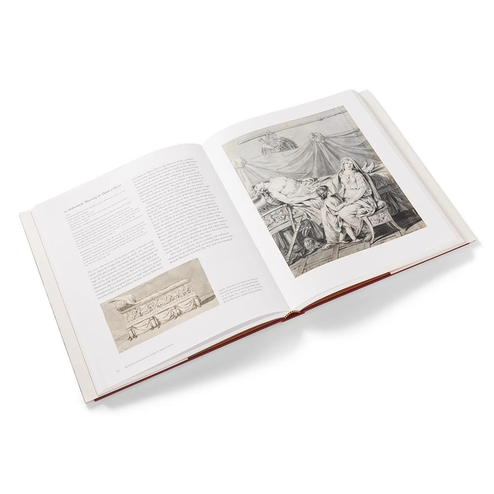 Jacques Louis David: Radical Draftsman - Image 2