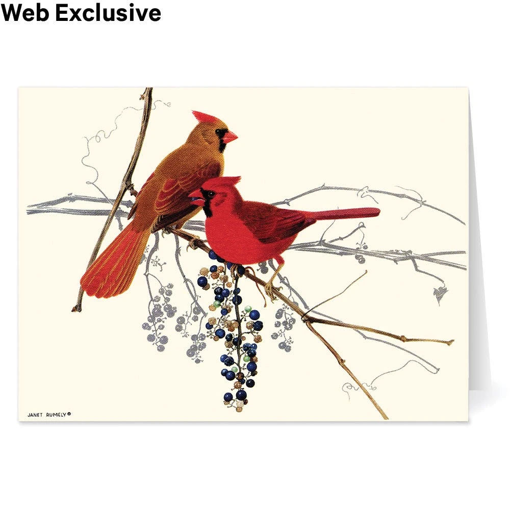 Rumely: Cardinals Holiday Cards